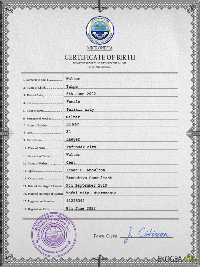 Modèle PSD de certificat de naissance en Micronésie